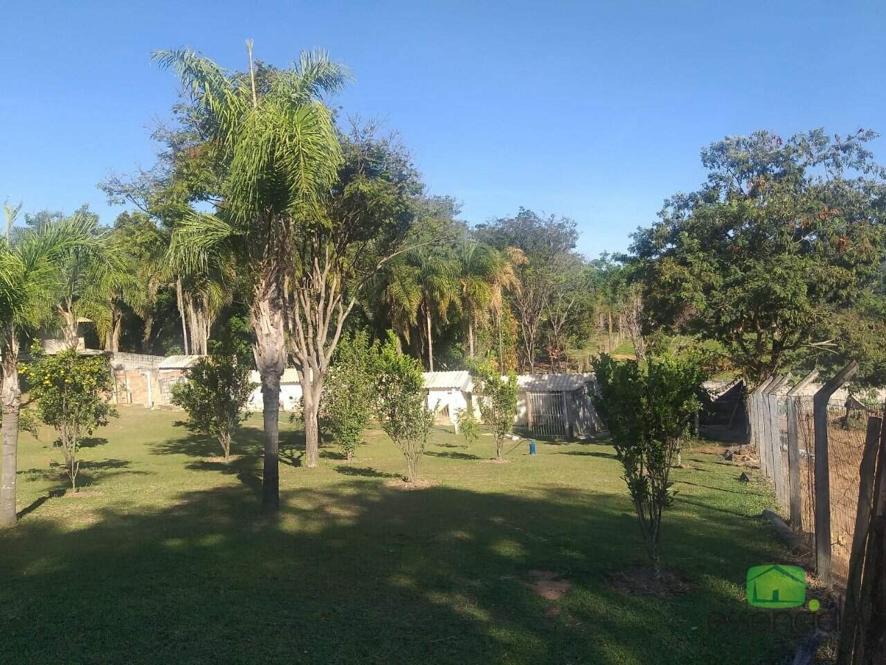 Chácara à venda com 4 quartos, 5000m² - Foto 11