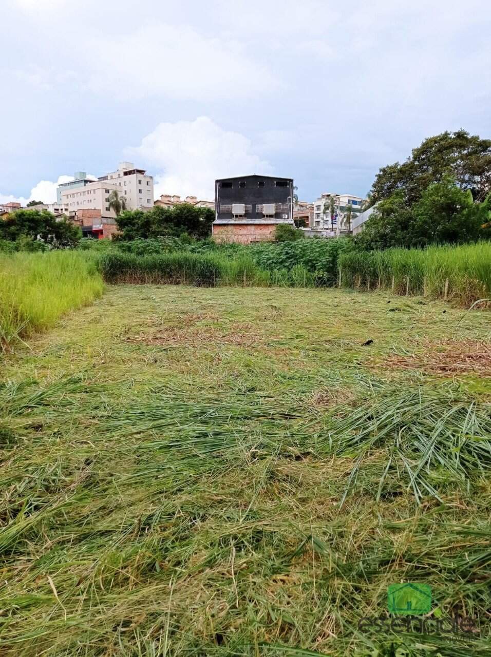 Terreno à venda, 2000m² - Foto 2