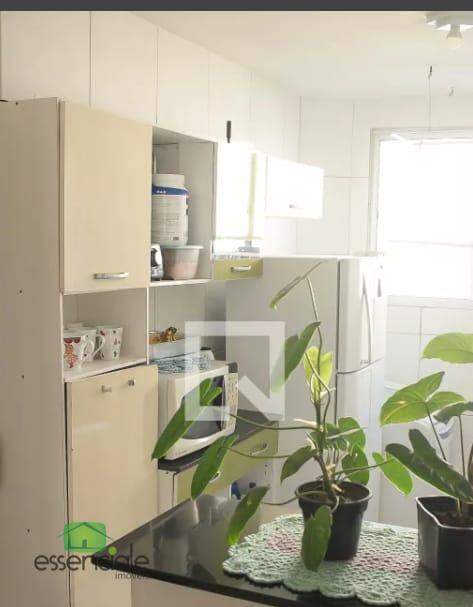 Apartamento à venda com 3 quartos, 56m² - Foto 19