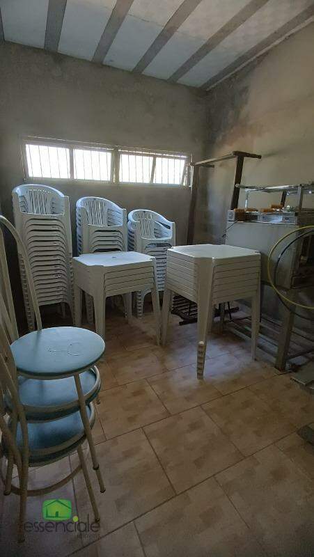 Chácara à venda com 3 quartos, 10000m² - Foto 14