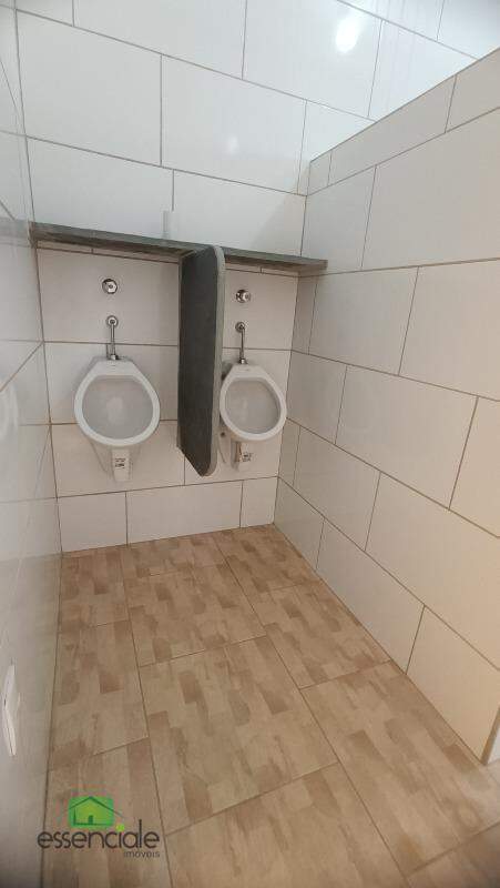 Chácara à venda com 3 quartos, 10000m² - Foto 9