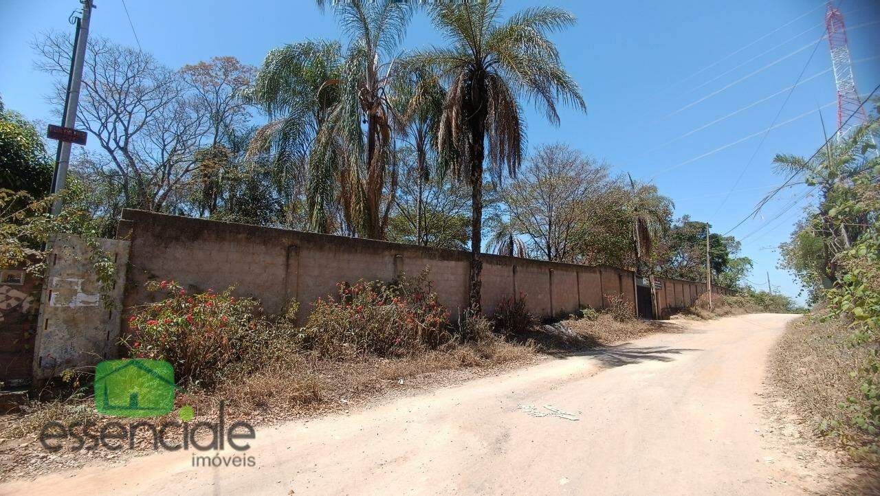 Chácara à venda com 3 quartos, 10000m² - Foto 5