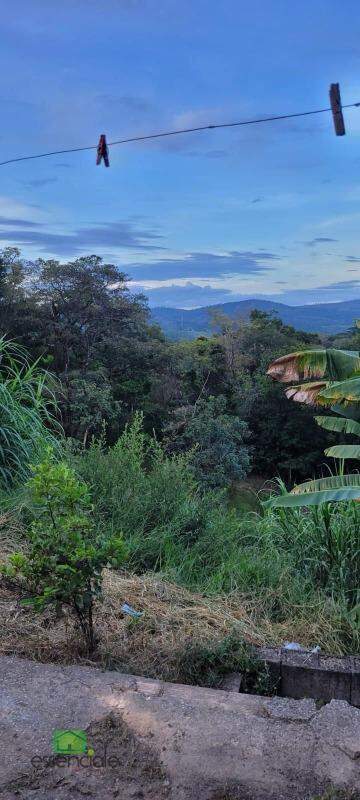 Chácara à venda com 5 quartos, 5000m² - Foto 3