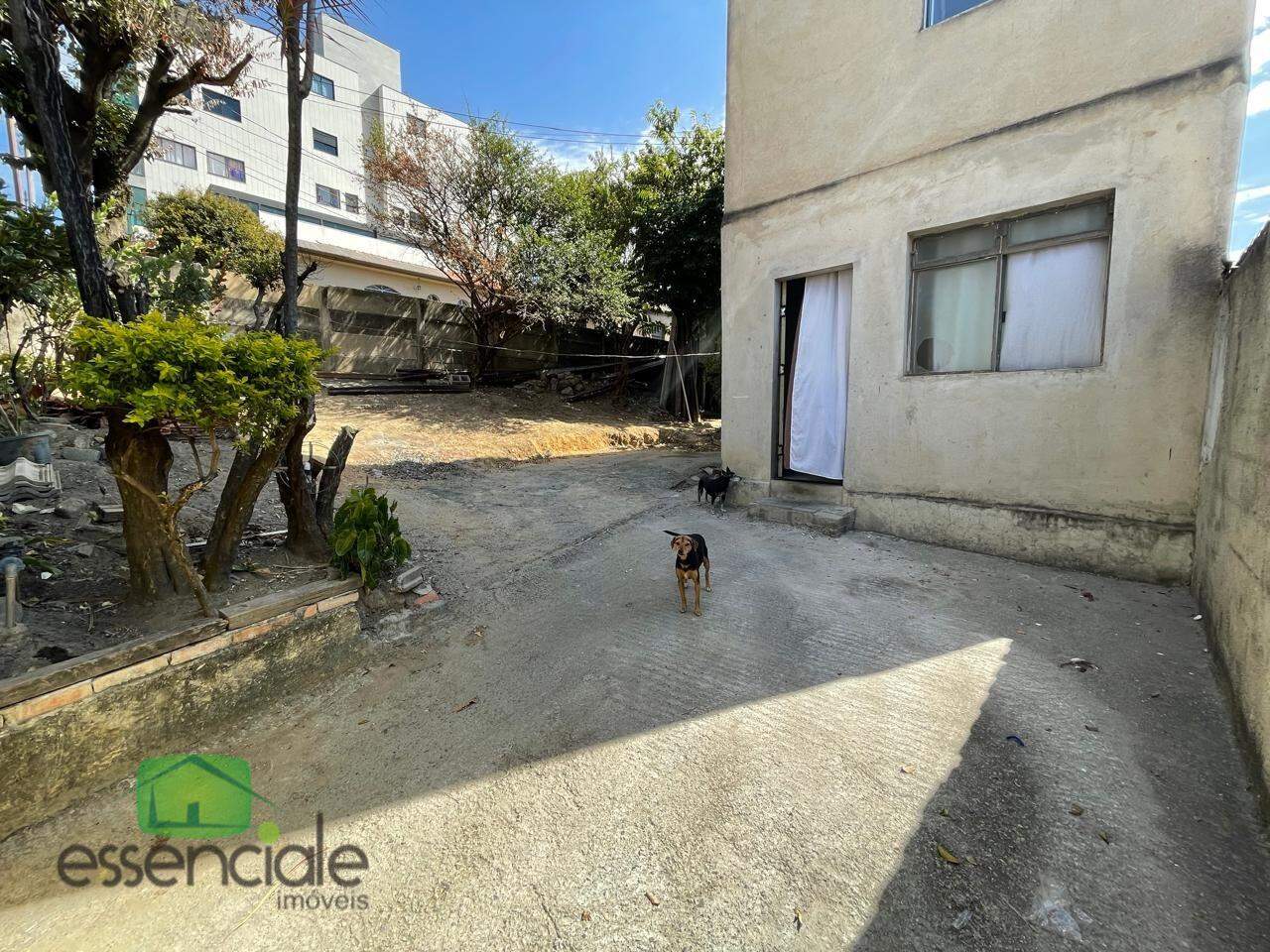 Casa, 3 quartos, 360 m² - Foto 1