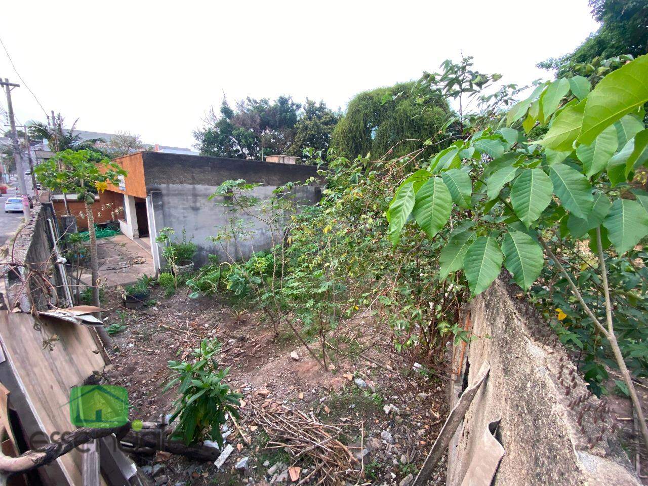 Terreno, 1000 m² - Foto 14