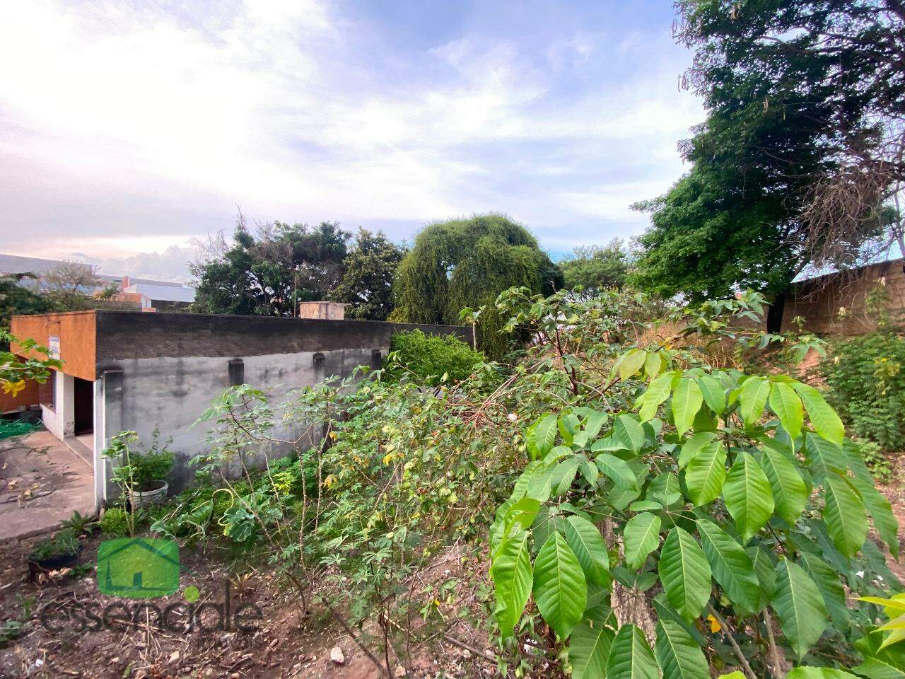 Terreno, 1000 m² - Foto 15