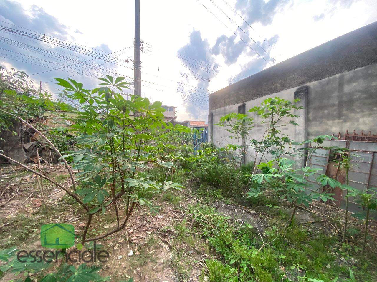 Terreno, 1000 m² - Foto 9