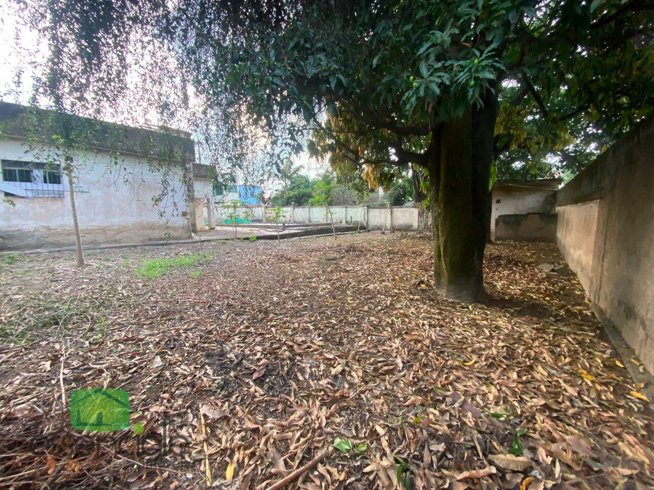 Terreno, 1000 m² - Foto 3