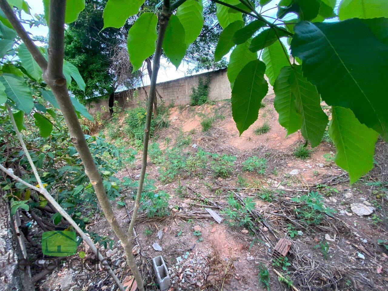 Terreno, 1000 m² - Foto 6