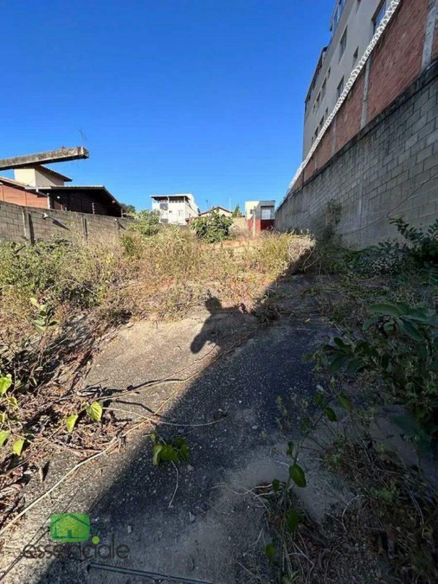Terreno, 492 m² - Foto 6
