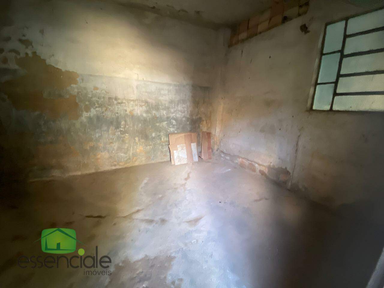 Casa, 4 quartos, 360 m² - Foto 6