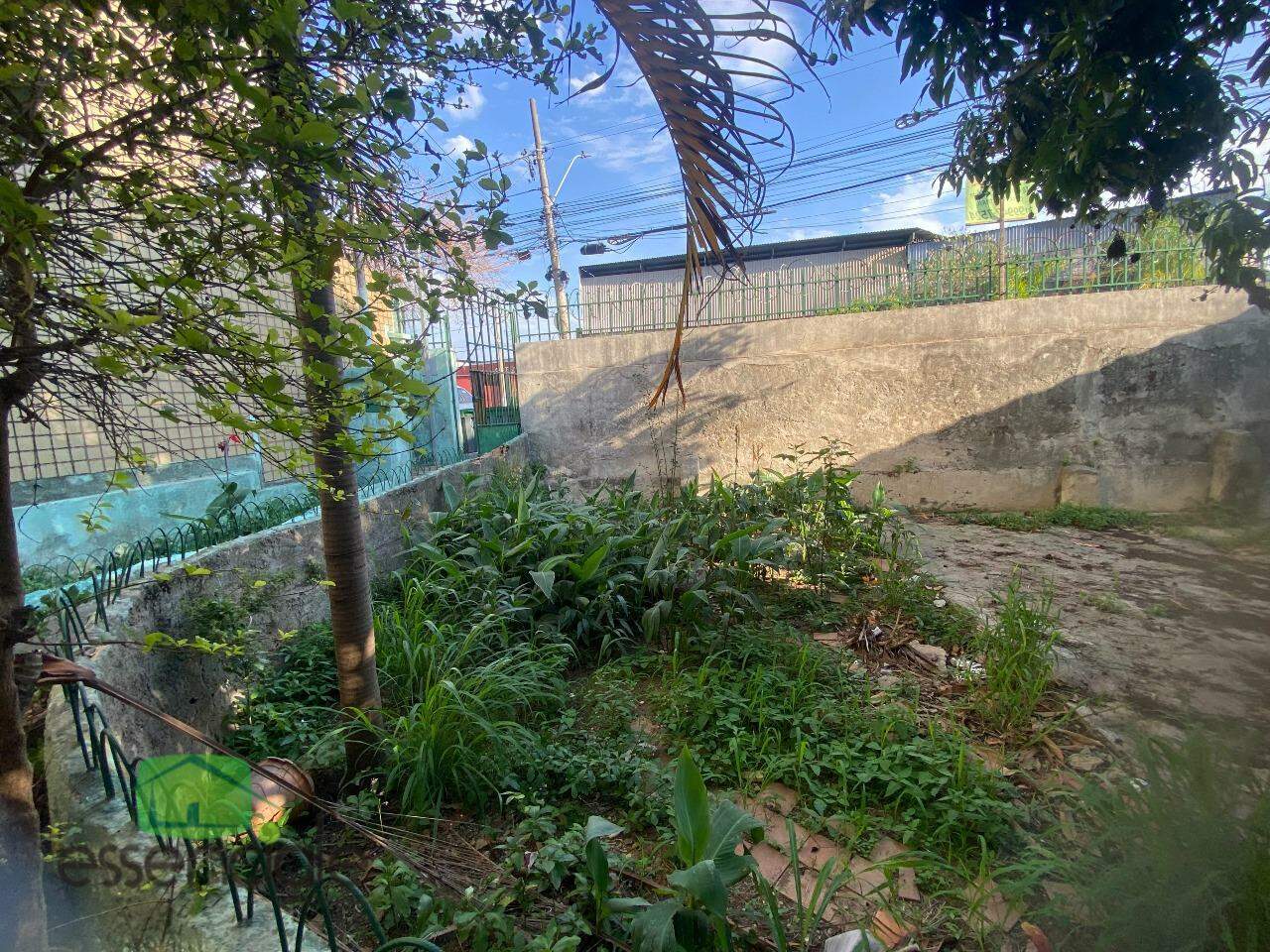 Casa, 4 quartos, 360 m² - Foto 17