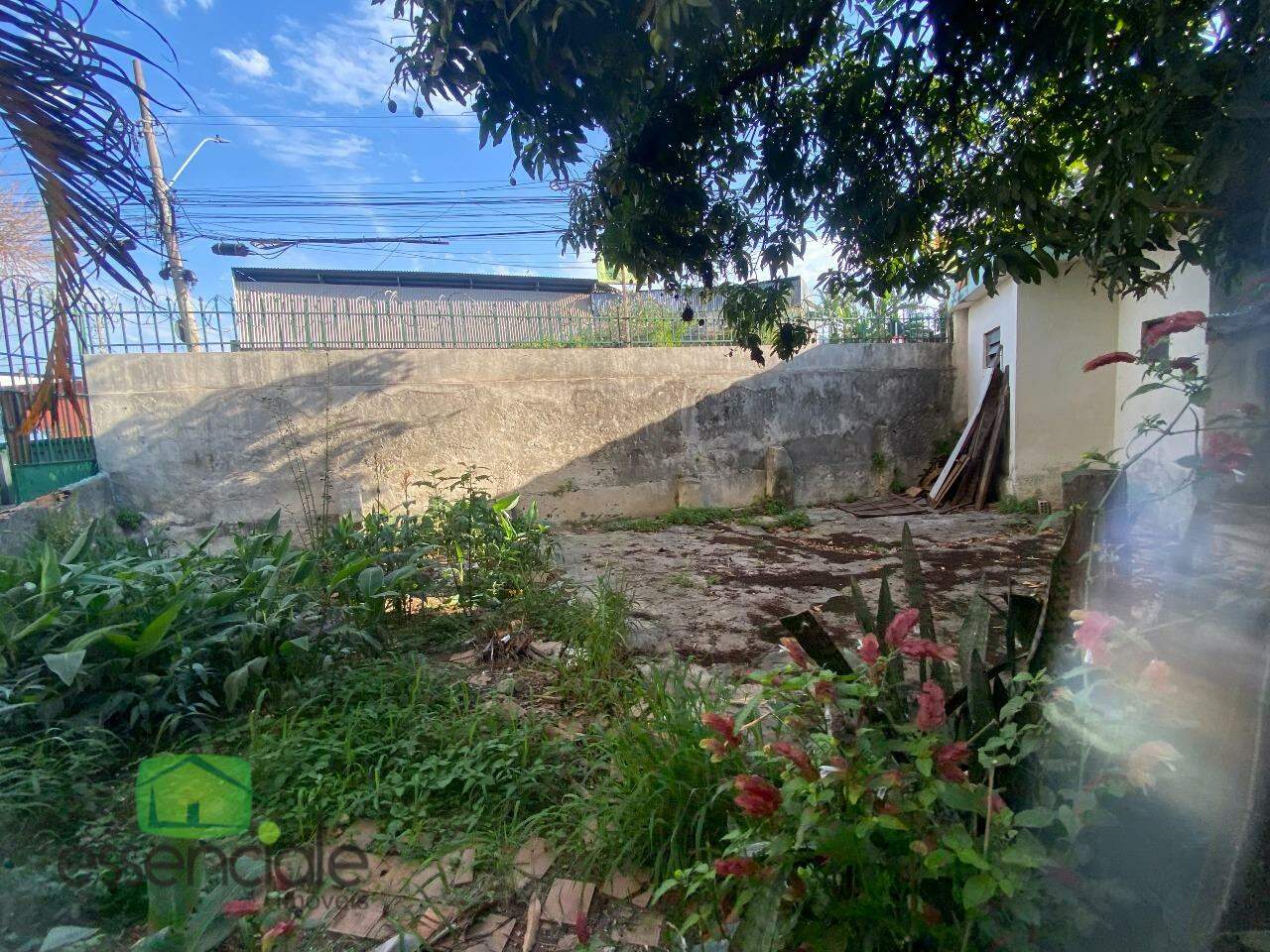 Casa, 4 quartos, 360 m² - Foto 18