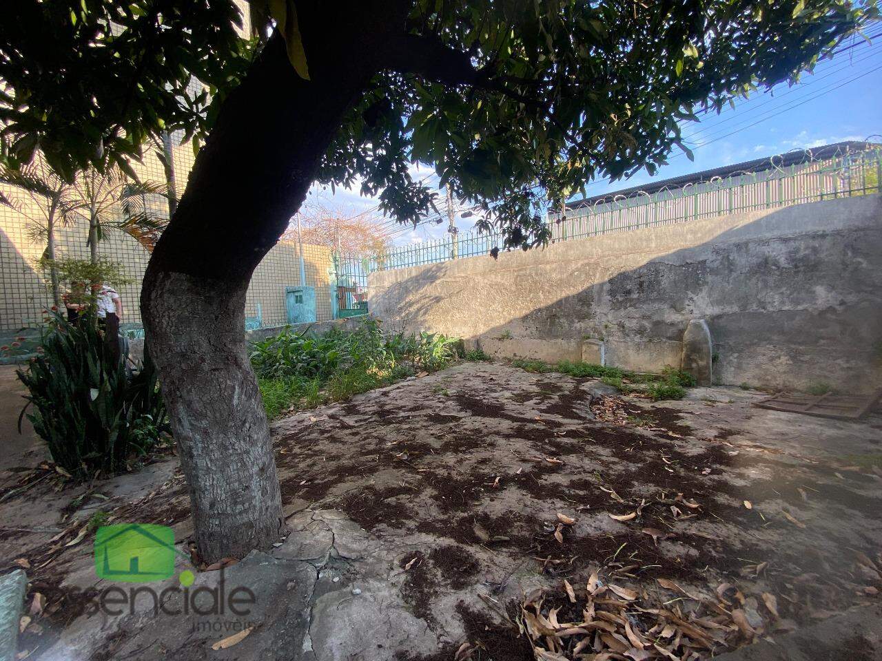 Casa, 4 quartos, 360 m² - Foto 16