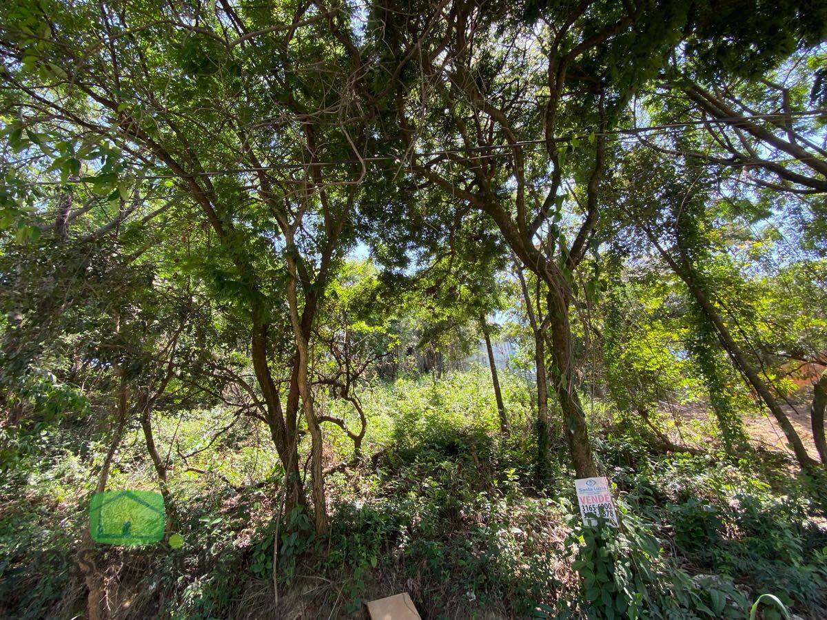 Terreno, 383 m² - Foto 2