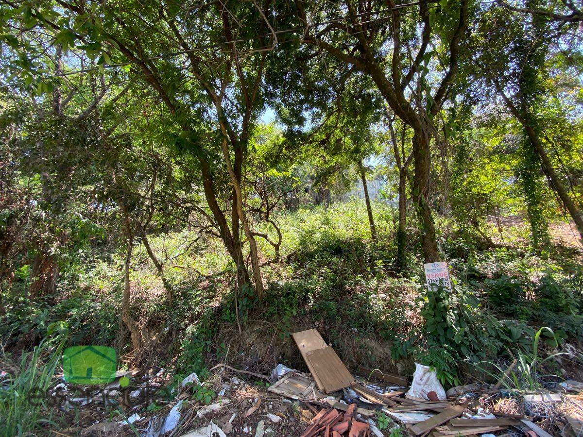 Terreno, 383 m² - Foto 5