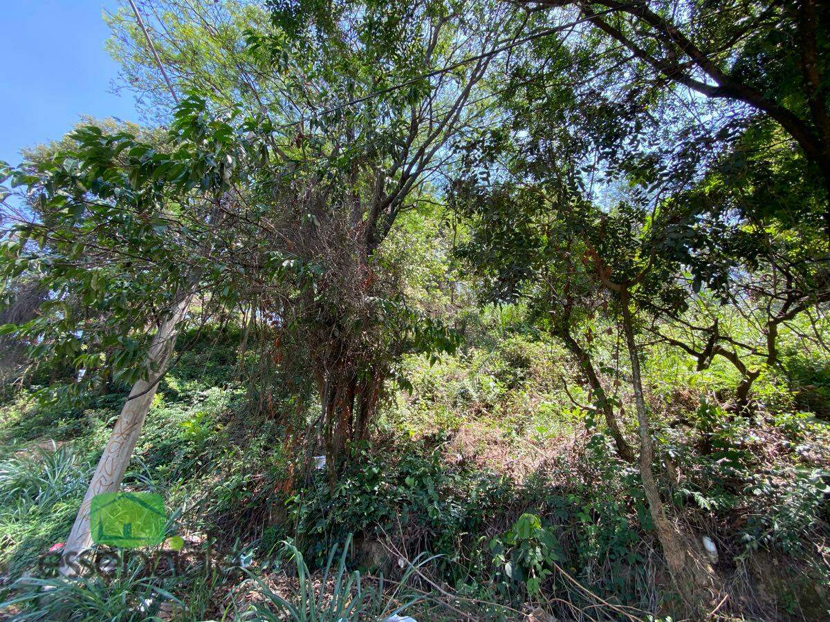 Terreno, 383 m² - Foto 4