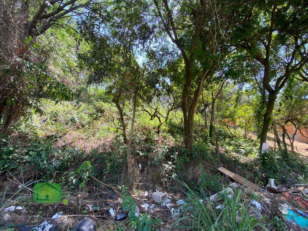 Terreno, 383 m² - Foto 6