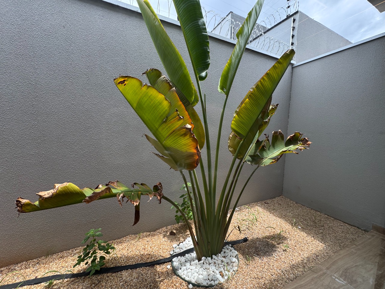 Casa à venda no Arso 52 : 