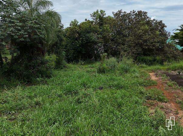Lote à venda no 1103 Sul : 