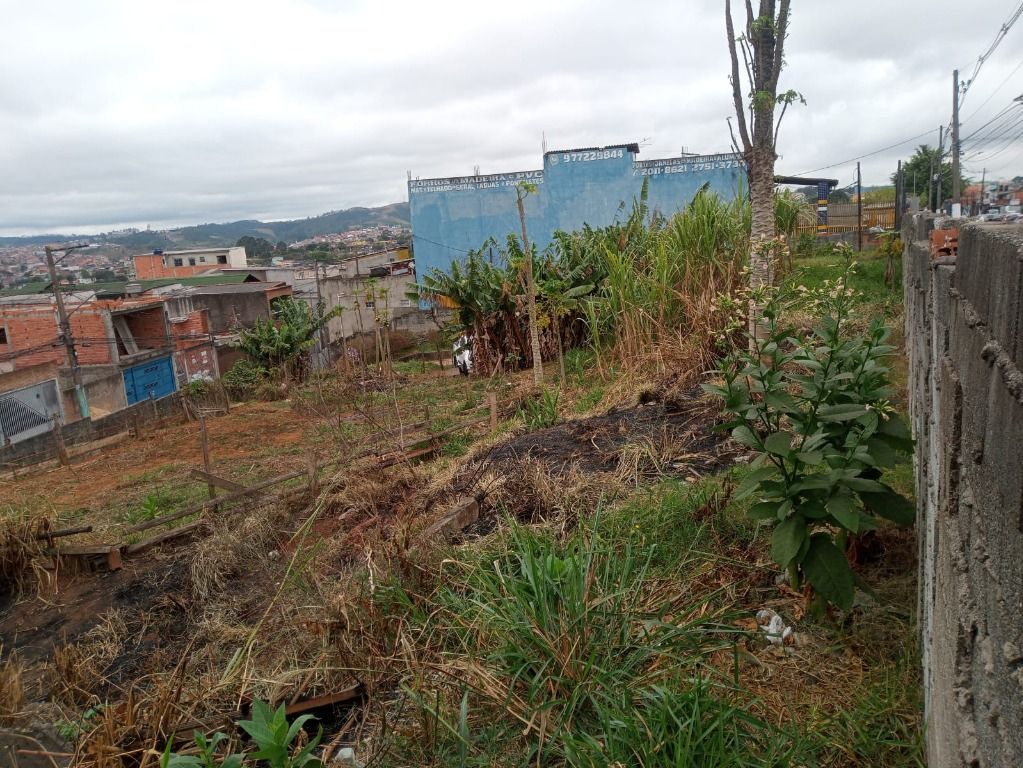 Terreno para aluguel no Vila Ester: 