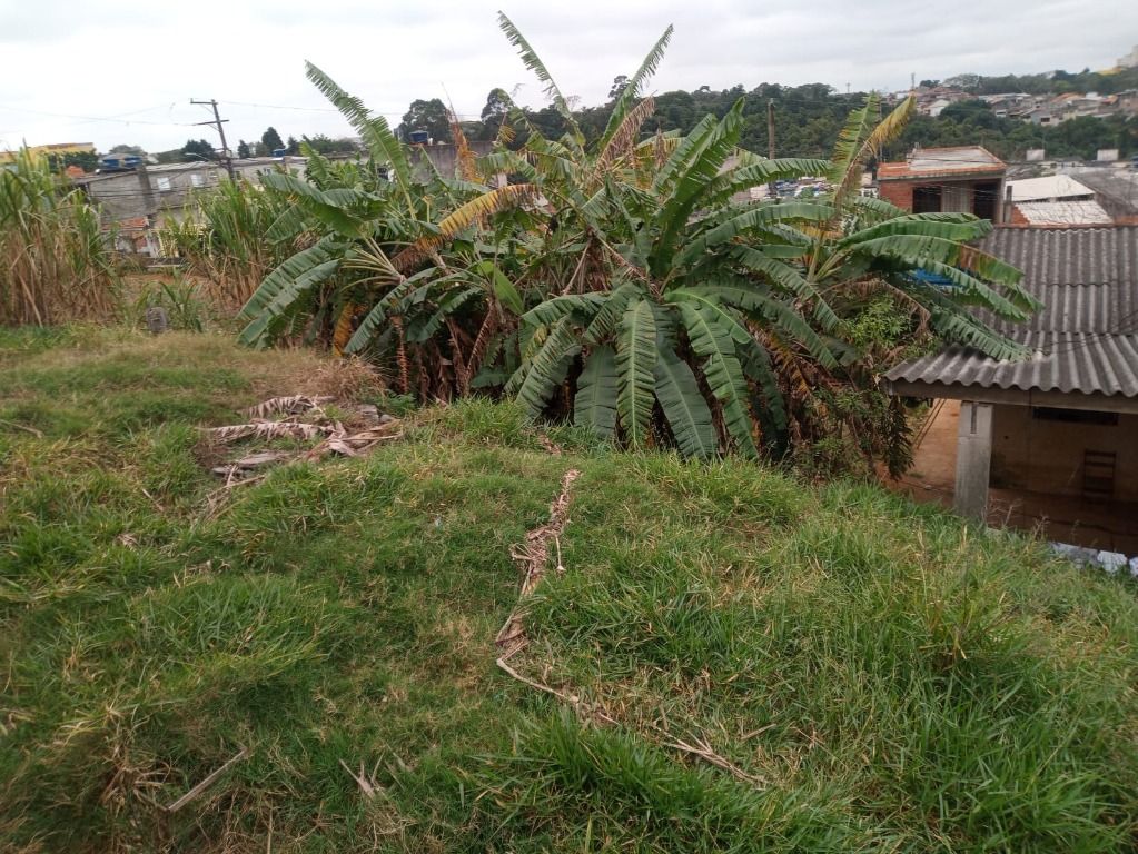 Terreno para aluguel no Vila Ester: 
