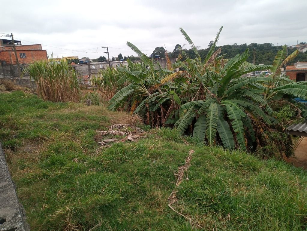 Terreno para aluguel no Vila Ester: 
