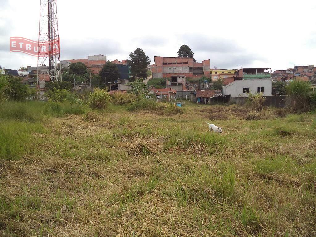 Área à venda no Colônia: 