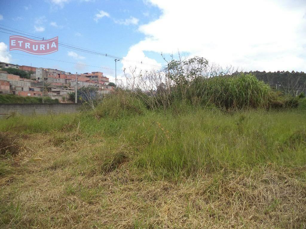 Área à venda no Colônia: 