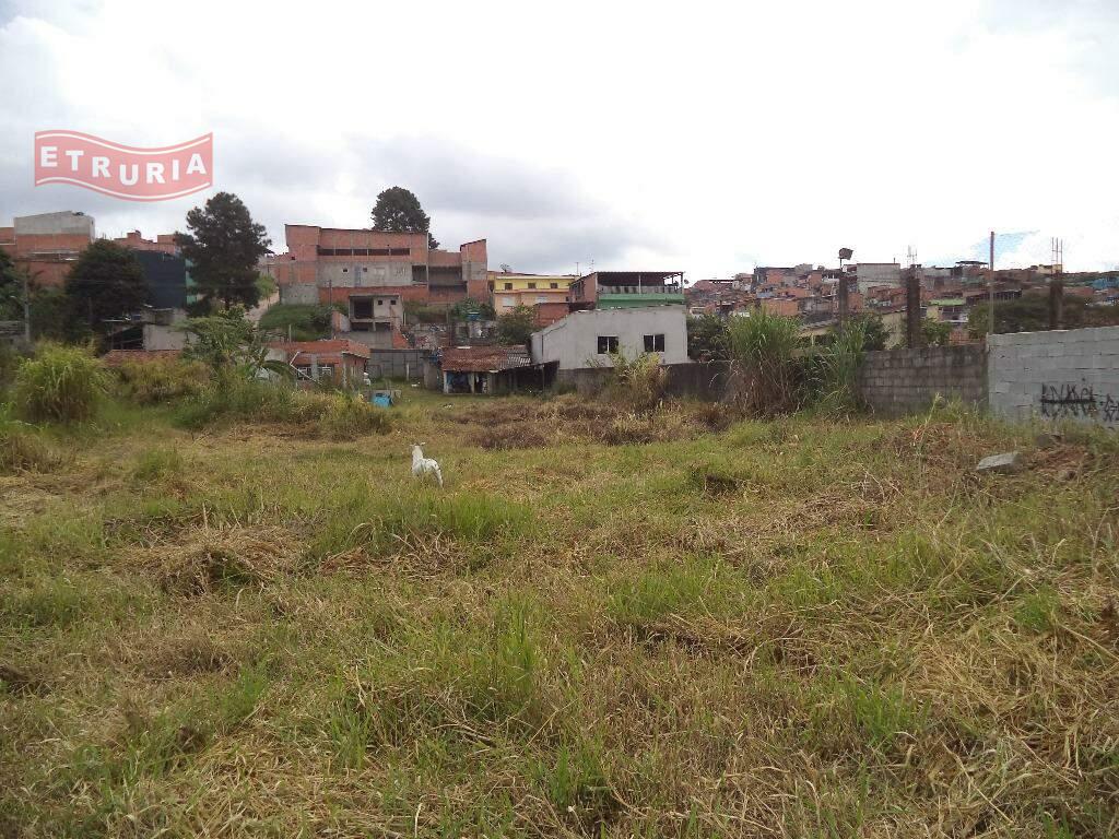 Área à venda no Colônia: 