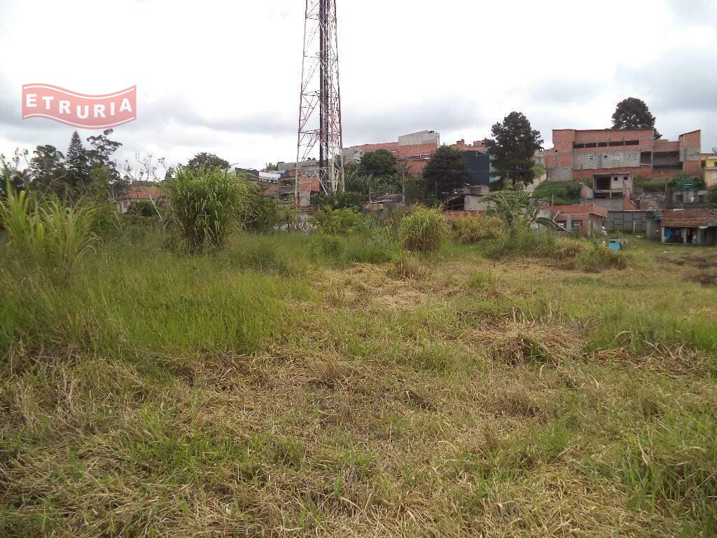 Área à venda no Colônia: 