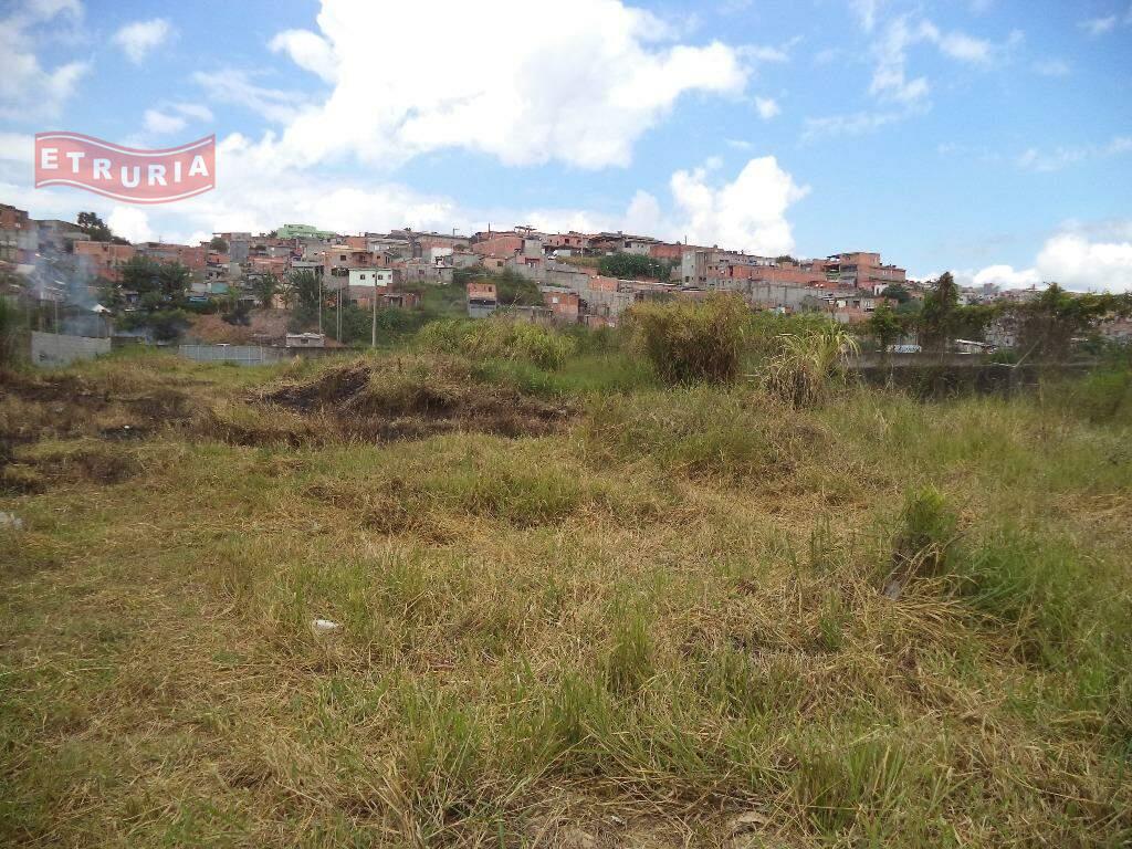 Área à venda no Colônia: 