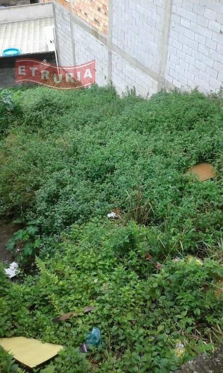 Terreno à venda no Recanto Verde do Sol: 