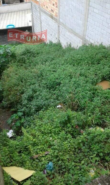 Terreno à venda no Recanto Verde do Sol: 