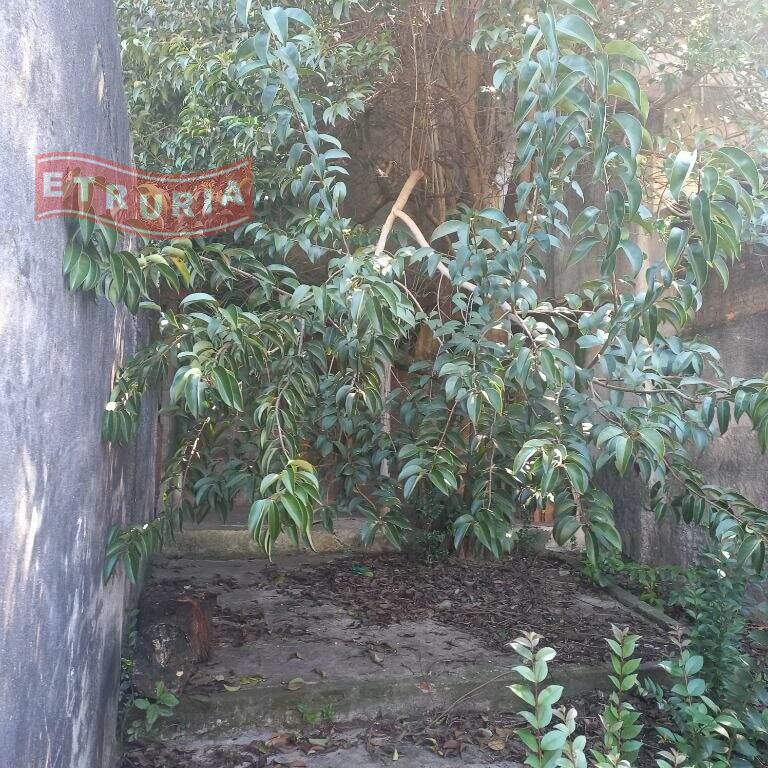 Sobrado à venda no São Mateus: 