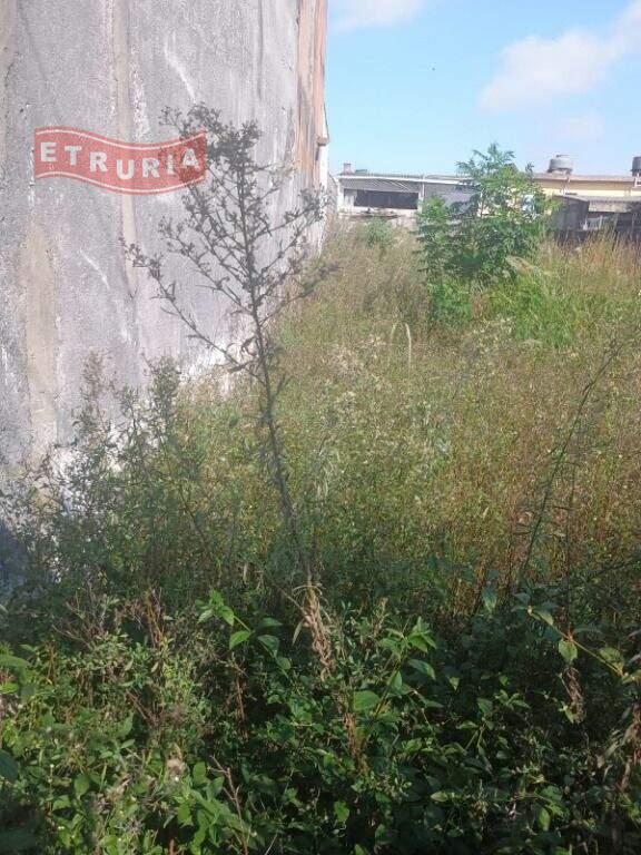 Terreno à venda no Cidade São Mateus: 