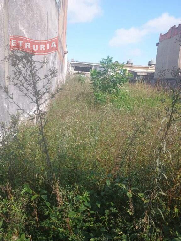 Terreno à venda no Cidade São Mateus: 