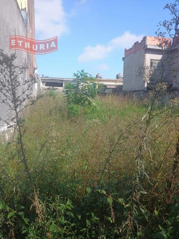 Terreno à venda no Cidade São Mateus: 