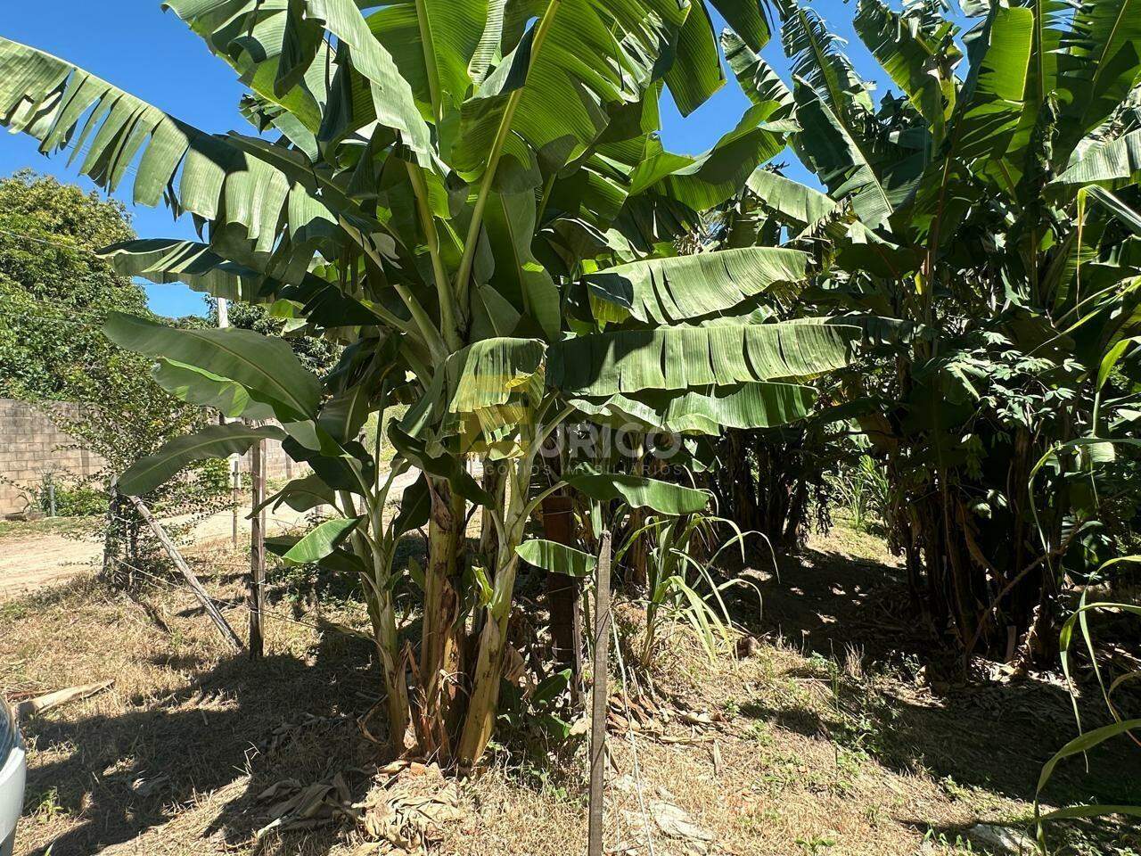 Terreno à venda no Parque Valinhos em Valinhos/SP: 