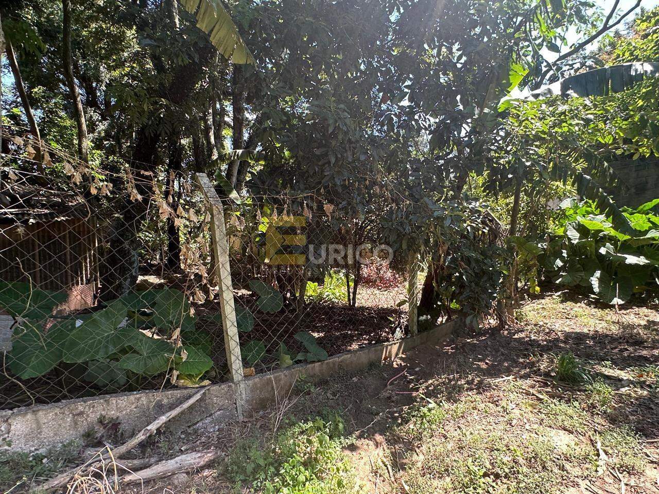 Terreno à venda no Parque Valinhos em Valinhos/SP:
