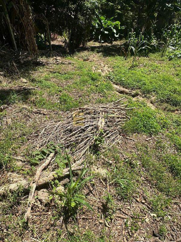 Terreno à venda no Parque Valinhos em Valinhos/SP: