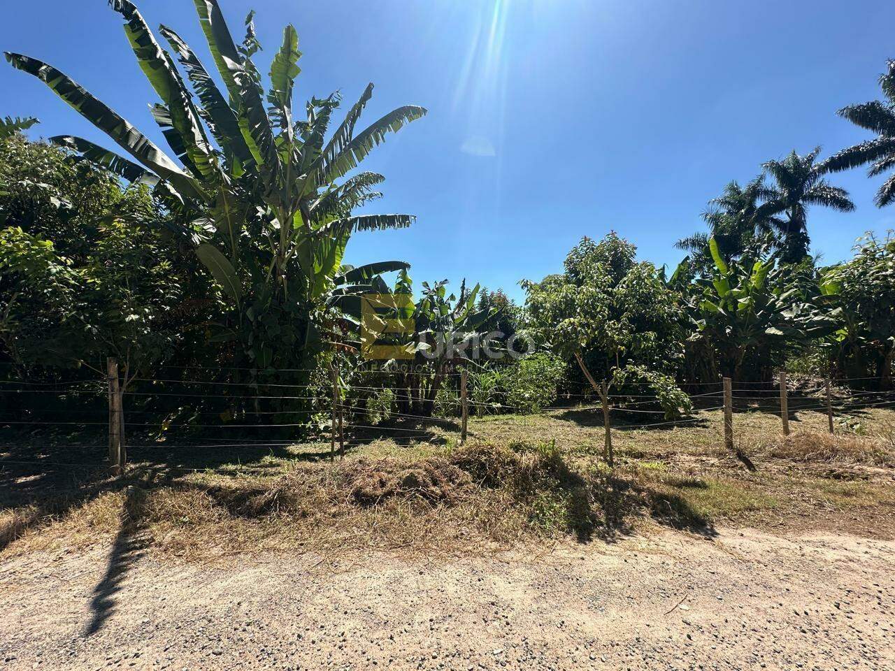 Terreno à venda no Parque Valinhos em Valinhos/SP: 
