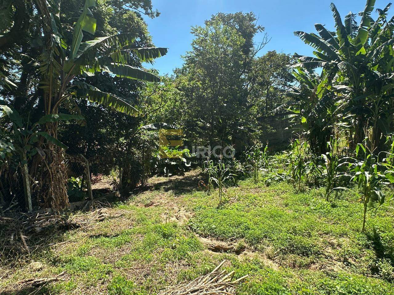 Terreno à venda no Parque Valinhos em Valinhos/SP: