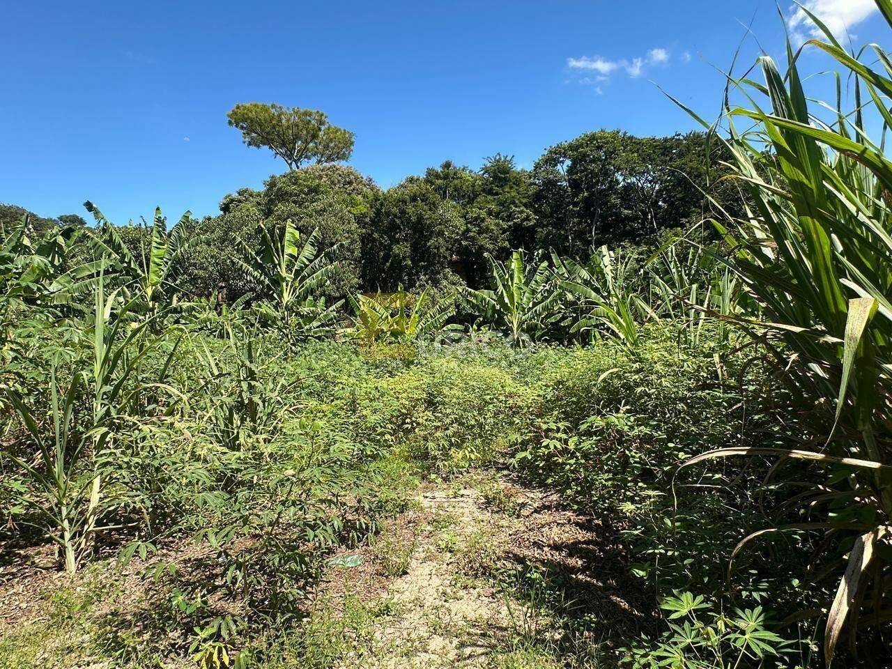 Terreno à venda no Parque Valinhos em Valinhos/SP: