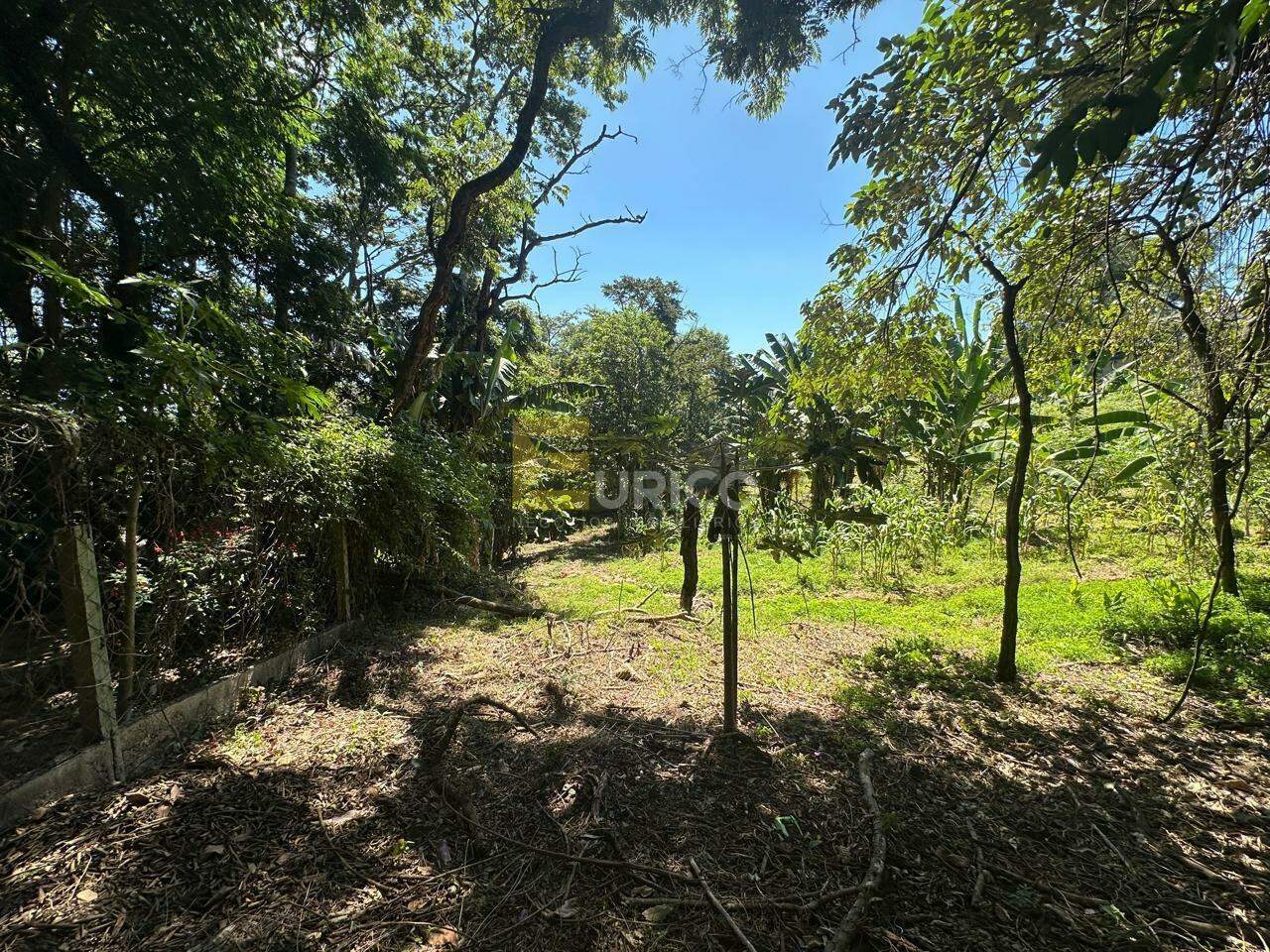 Terreno à venda no Parque Valinhos em Valinhos/SP:
