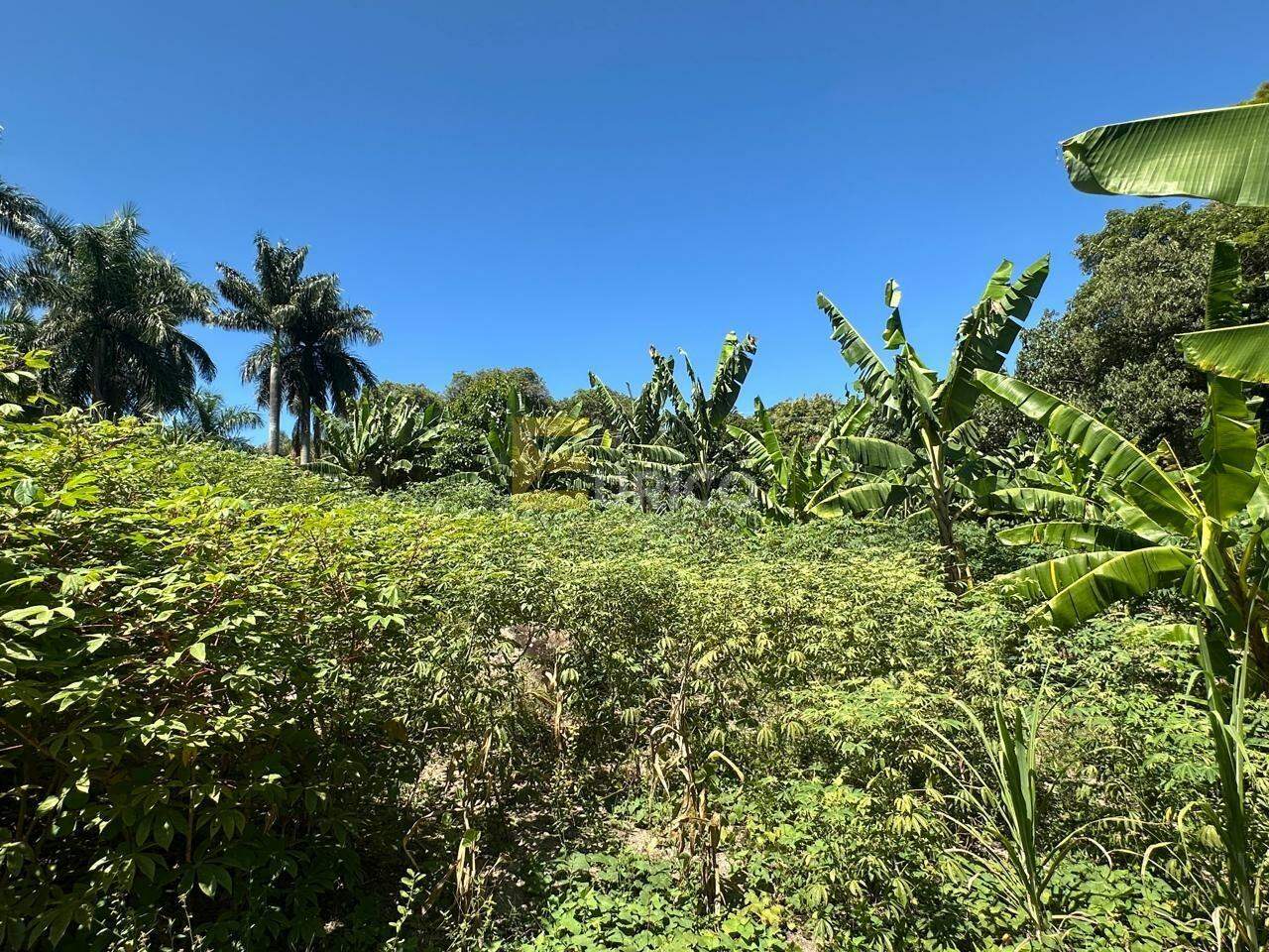 Terreno à venda no Parque Valinhos em Valinhos/SP: