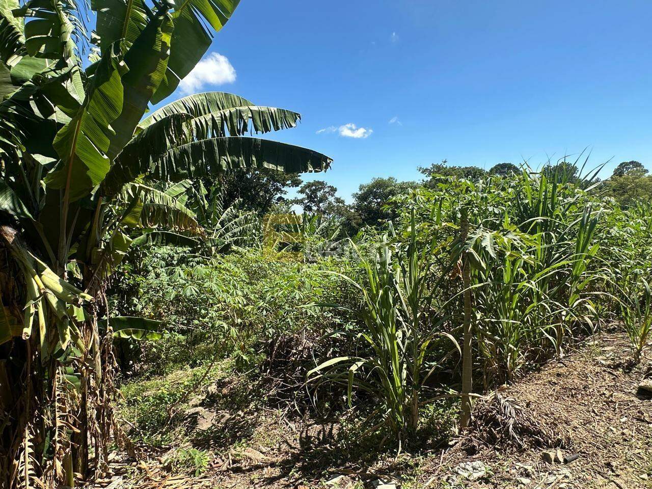 Terreno à venda no Parque Valinhos em Valinhos/SP: