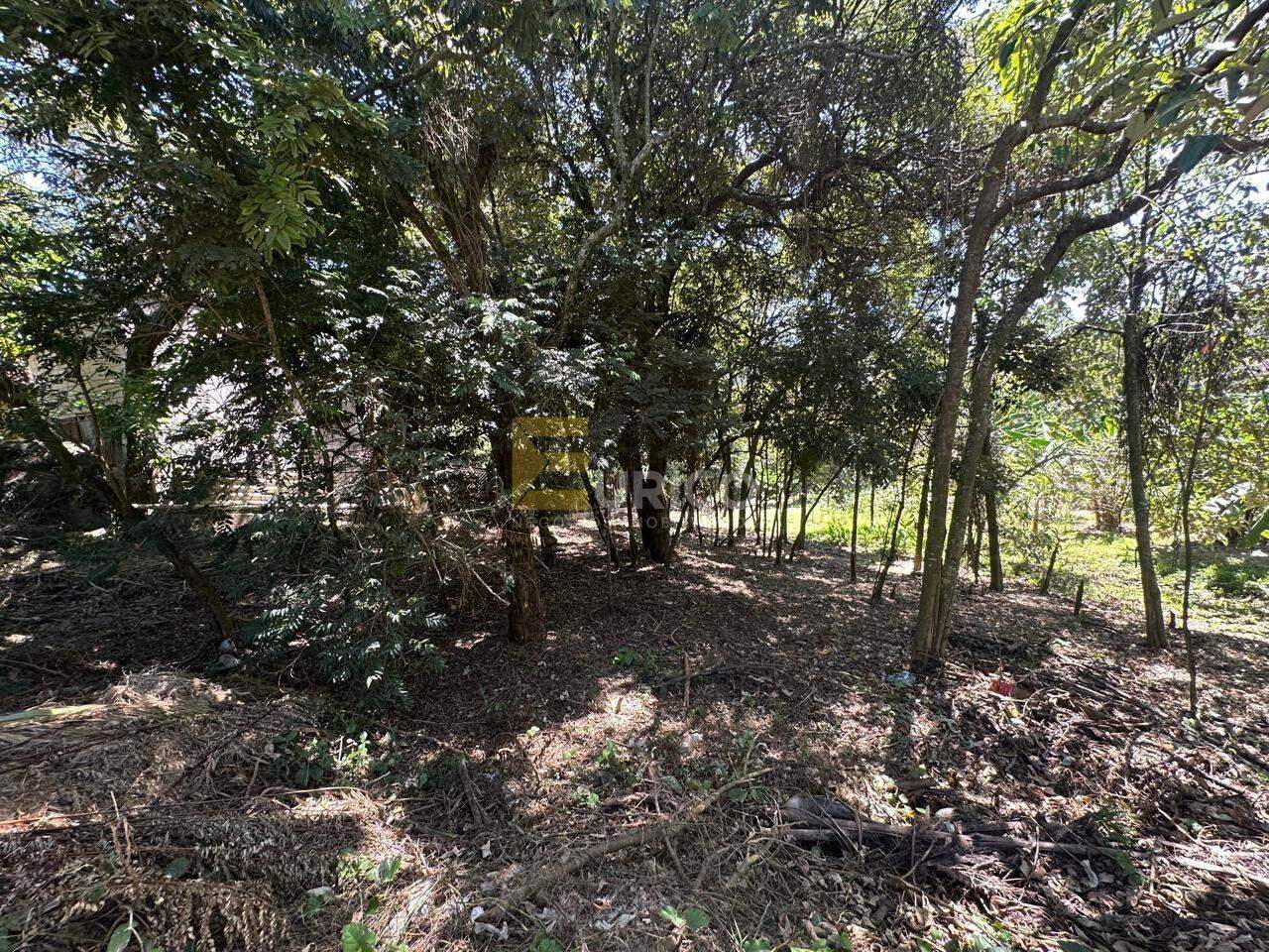 Terreno à venda no Parque Valinhos em Valinhos/SP: