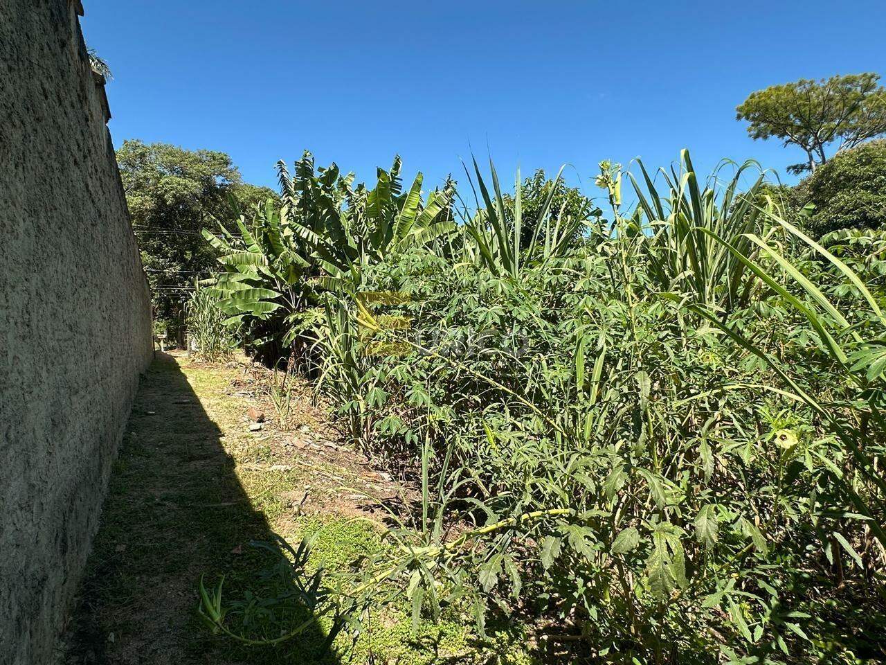 Terreno à venda no Parque Valinhos em Valinhos/SP: