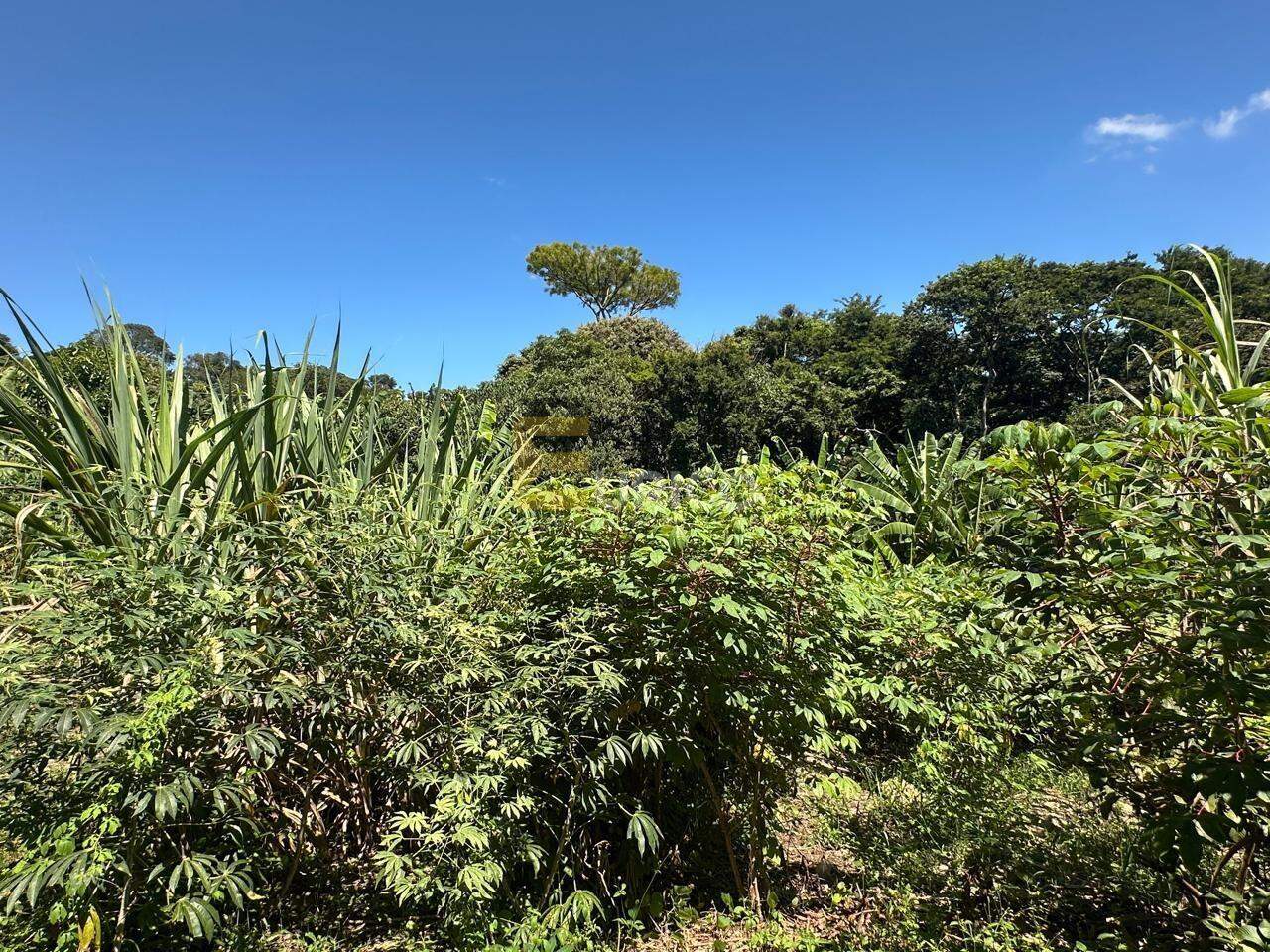 Terreno à venda no Parque Valinhos em Valinhos/SP: